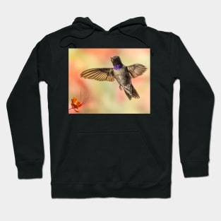 Black-chinned Hummingbird Hoodie